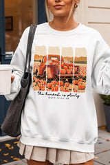 UL180-E3172 Harvest Is Plenty Graphic Sweatshirt $20