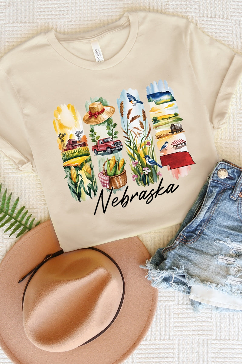US3001P-E3061NE Nebraska State Brushstroke Graphic Plus Tee $16
