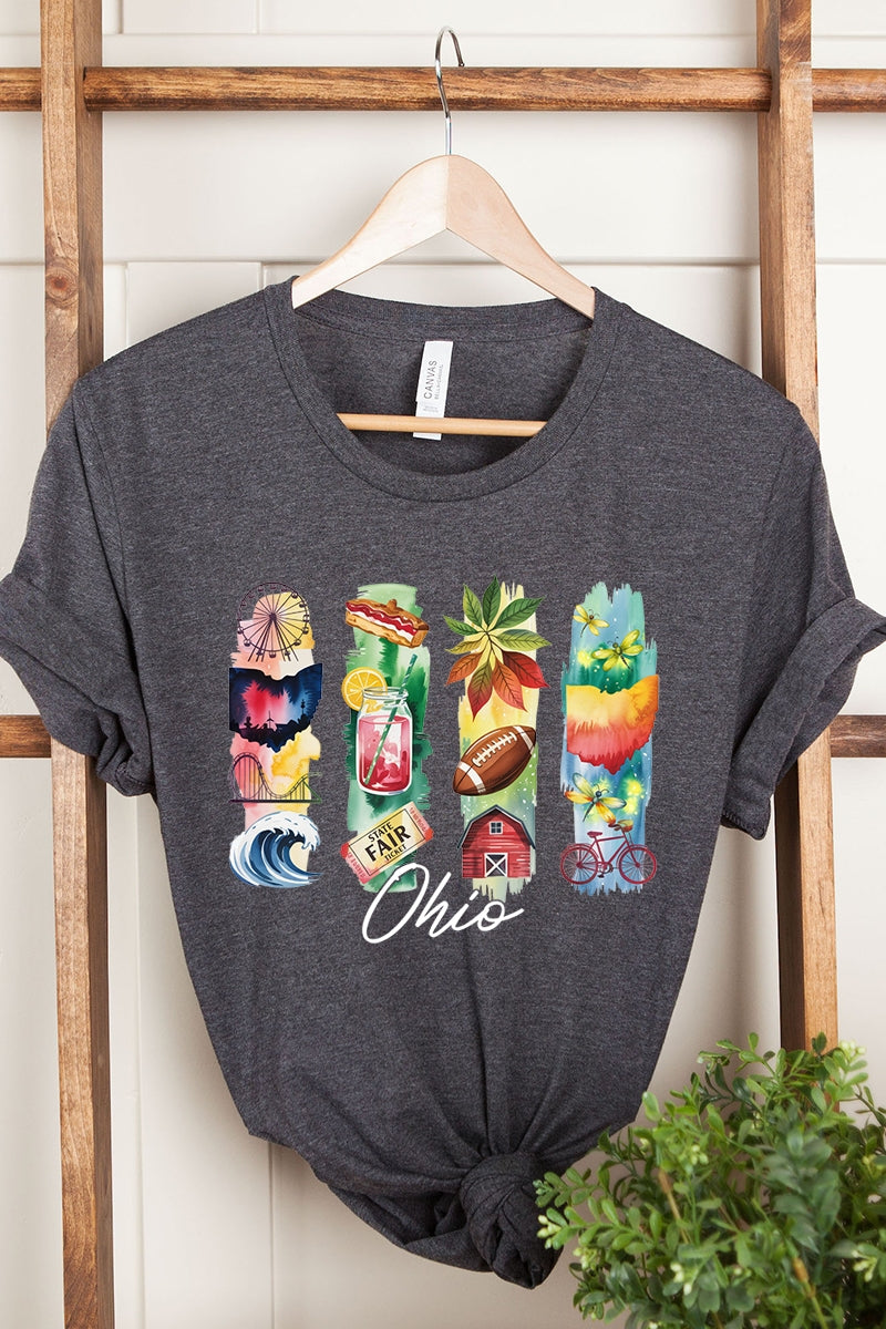 US3001P-E3061OH Ohio State Brushstroke Graphic Plus Tee $16
