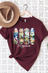 US3001P-E3061VA Virginia State Brushstroke Graphic Plus Tee $16