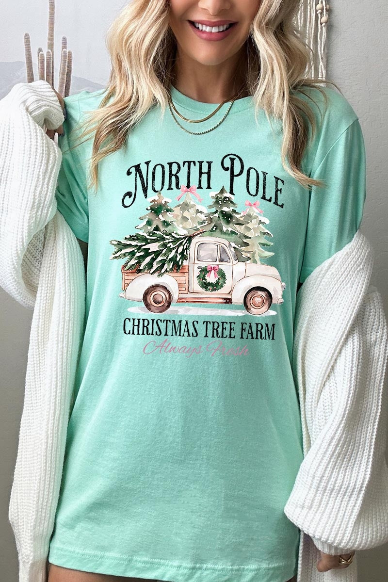 US3001-E3174 North Pole Christmas Graphic Tee $12.5