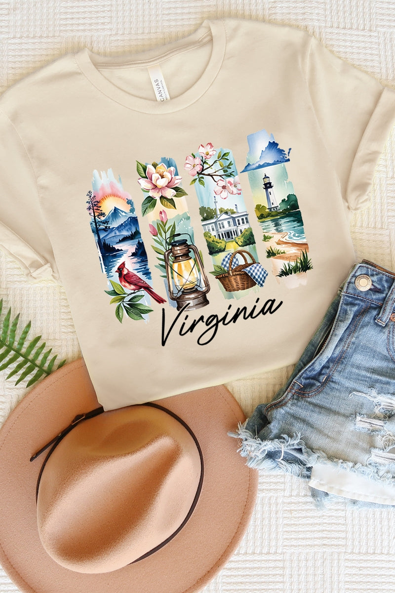 US3001-E3061VA Virginia State Brushstroke Graphic Tee $12.5