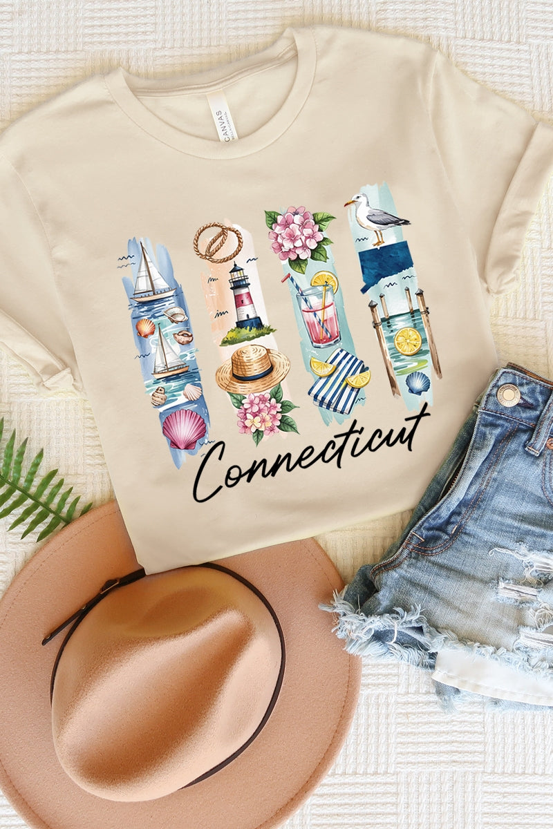 US3001P-E3061CT Connecticut State Brushstroke Graphic Plus Tee $16