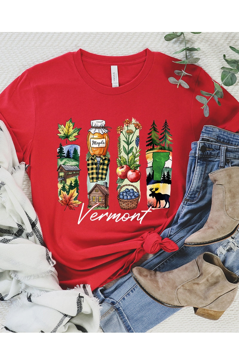 US3001P-E3061VT Vermont State Brushstroke Graphic Plus Tee $16