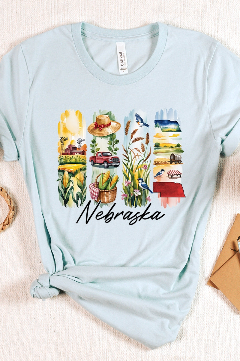US3001P-E3061NE Nebraska State Brushstroke Graphic Plus Tee $16
