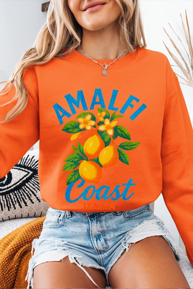 UL180-E3470 America 250 Gingham Graphic Sweatshirt $20