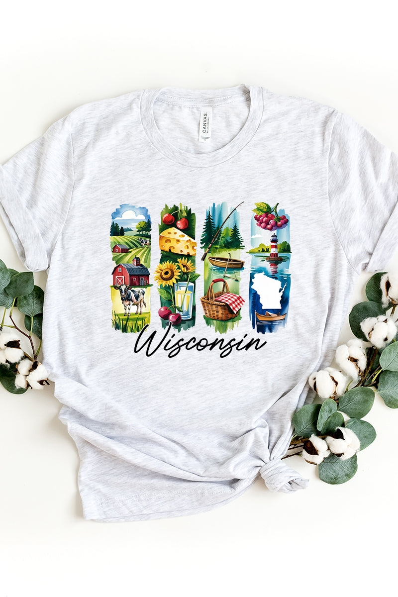 US3001P-E3061WI Wisconsin State Brushstroke Graphic Plus Tee $16
