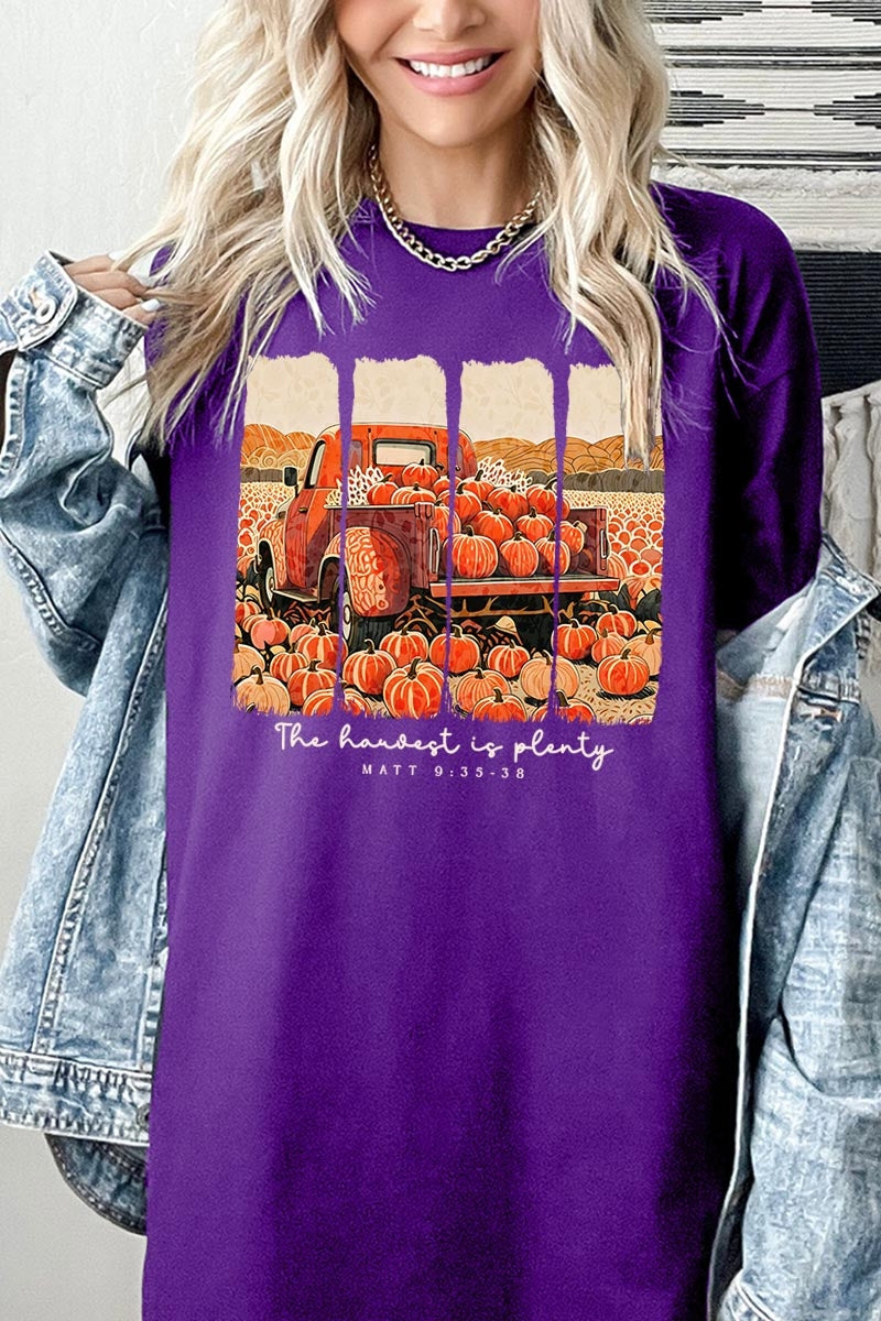 5000-E3172 Harvest Is Plenty Graphic Heavy Cotton Tee $9