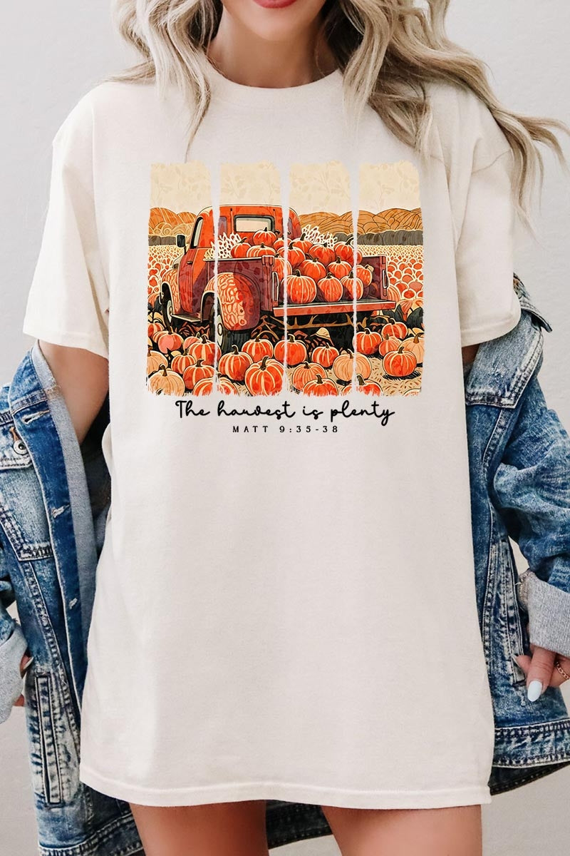 5000P-E3172 Harvest Is Plenty Graphic Plus Heavy Cotton Tee $12.75