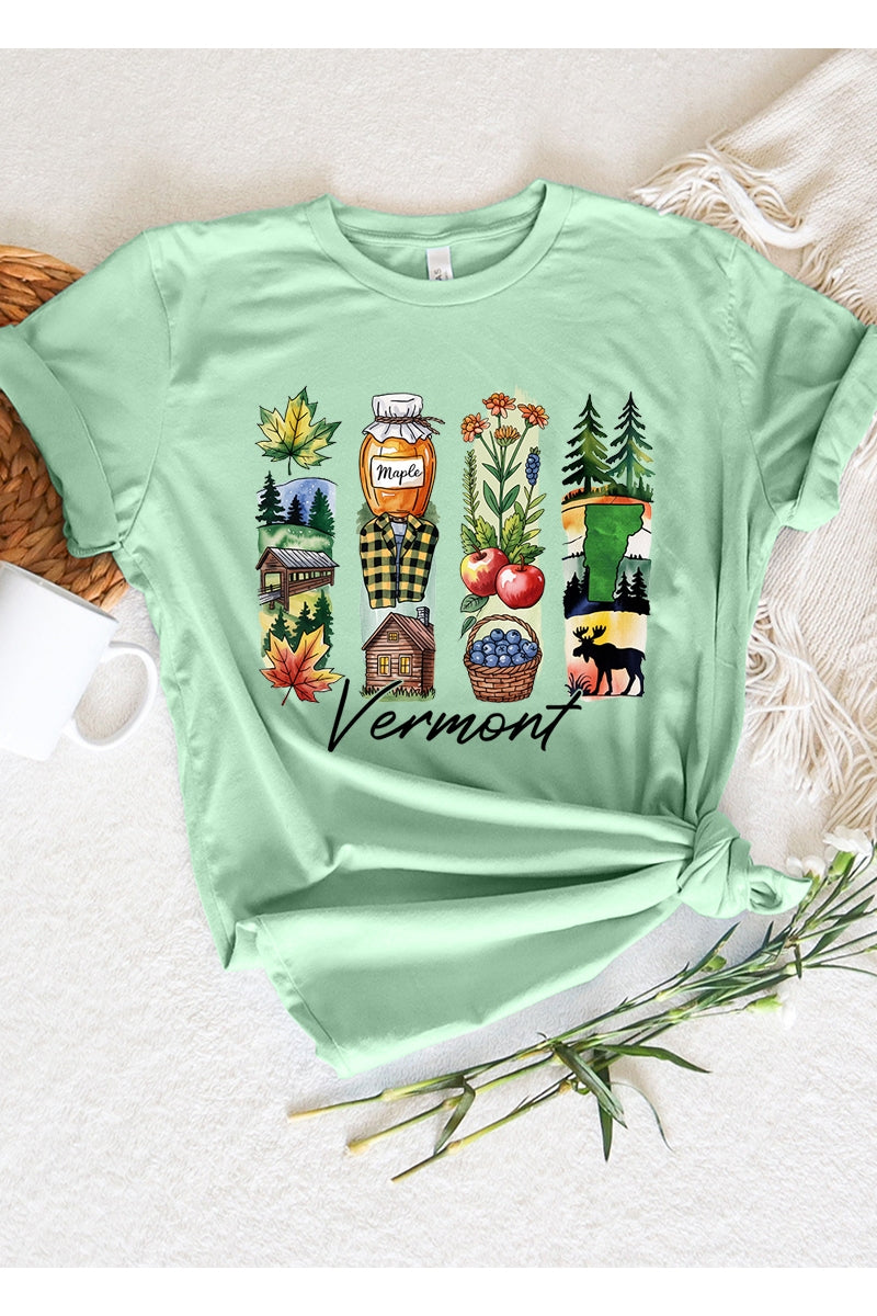 US3001P-E3061VT Vermont State Brushstroke Graphic Plus Tee $16