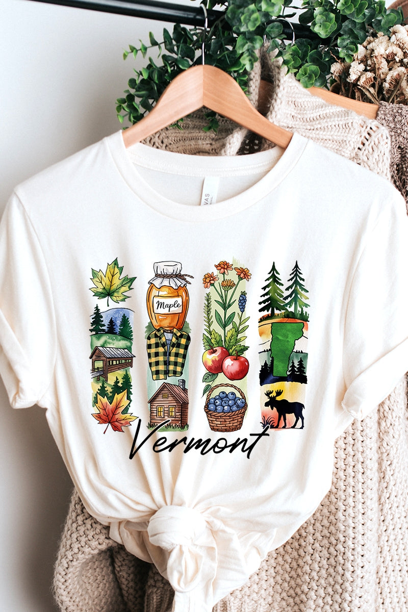 US3001-E3061VT Vermont State Brushstroke Graphic Tee $12.5