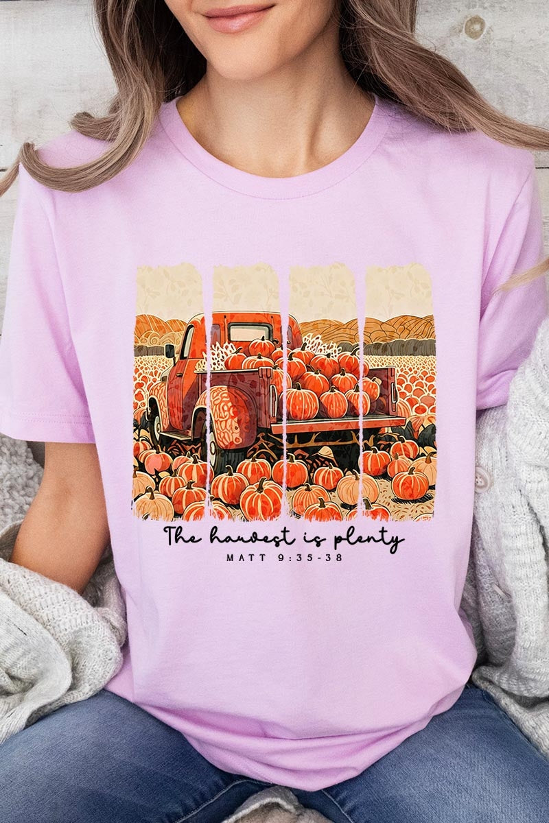 US3001P-E3172 Harvest Is Plenty Graphic Plus Tee $16