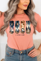 US3001-E3204 Savior Is Born Nativity Graphic Tee $12.5