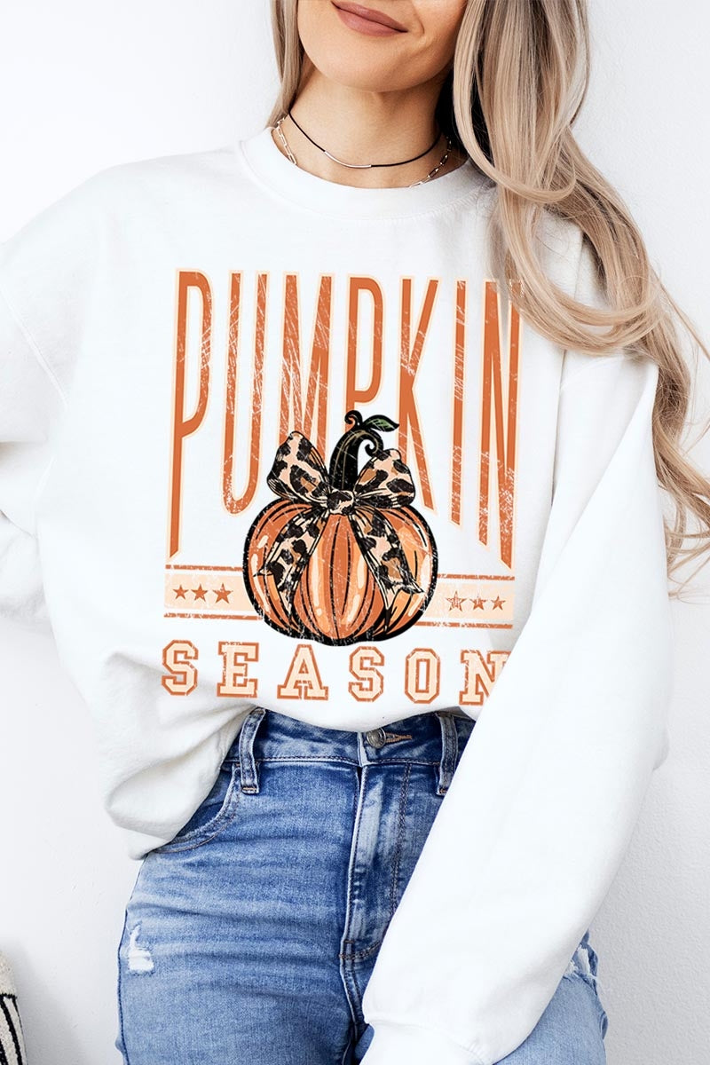 UL180-E3145 Pumpkin Season Graphic Sweatshirt $20
