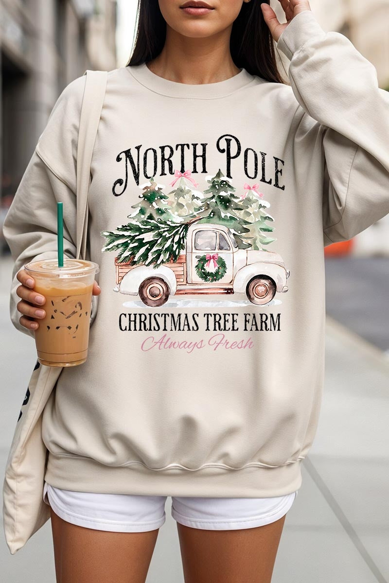 UL180P-E3174 North Pole Christmas Graphic Plus Sweatshirt $25