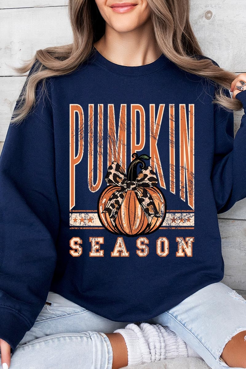 UL180P-E3145 Pumpkin Season Graphic Plus Sweatshirt $25