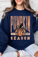UL180-E3145 Pumpkin Season Graphic Sweatshirt $20