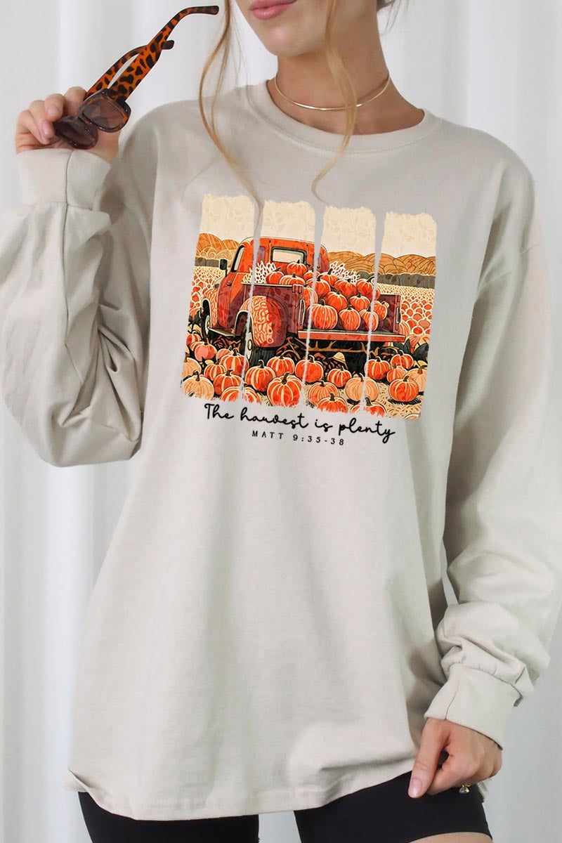 UL240-E3172 Harvest Is Plenty Graphic Long Sleeve Tee $13.75