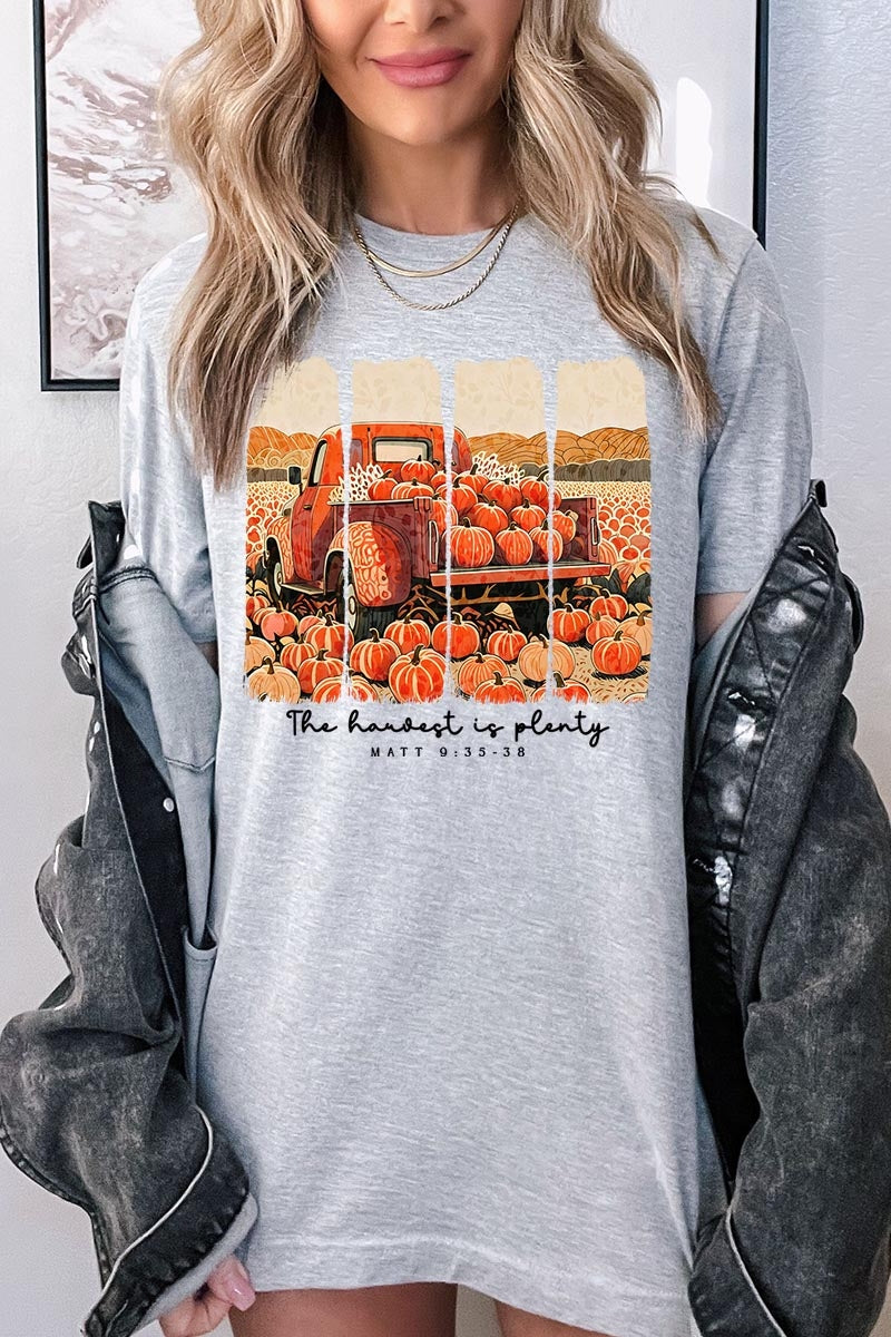 US3001P-E3172 Harvest Is Plenty Graphic Plus Tee $16
