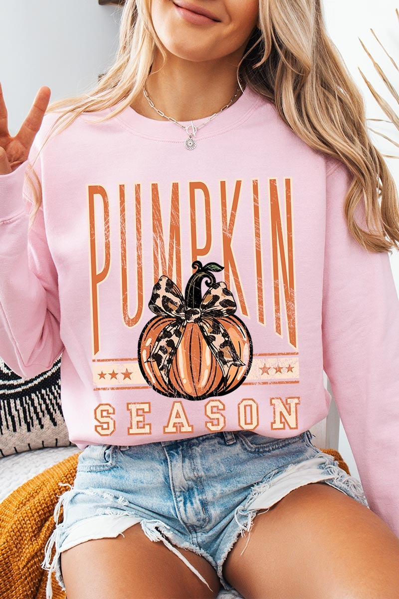 UL180P-E3145 Pumpkin Season Graphic Plus Sweatshirt $25
