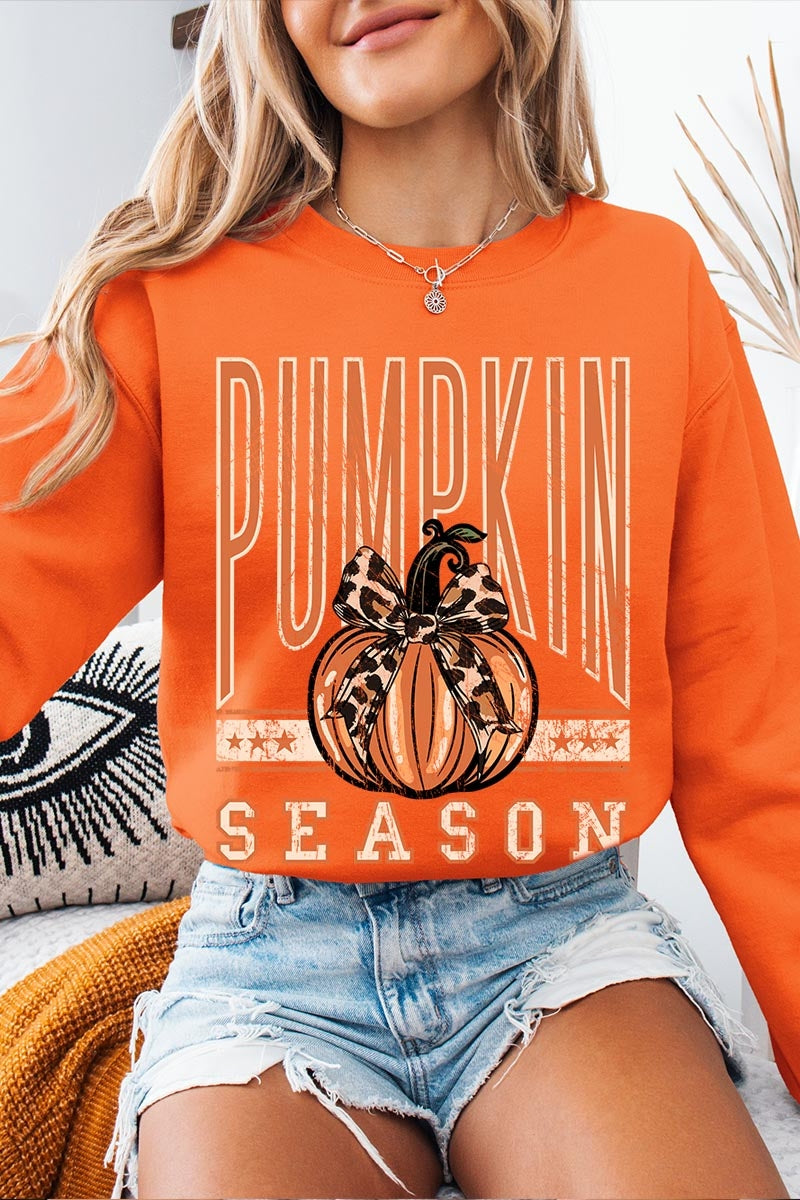 UL180-E3145 Pumpkin Season Graphic Sweatshirt $20