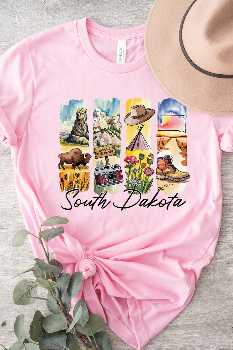 US3001P-E3061SD South Dakota State Brushstroke Graphic Plus Tee $16