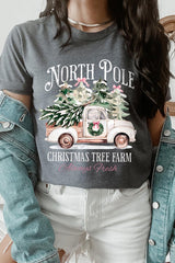 US3001P-E3174 North Pole Christmas Graphic Plus Tee $16