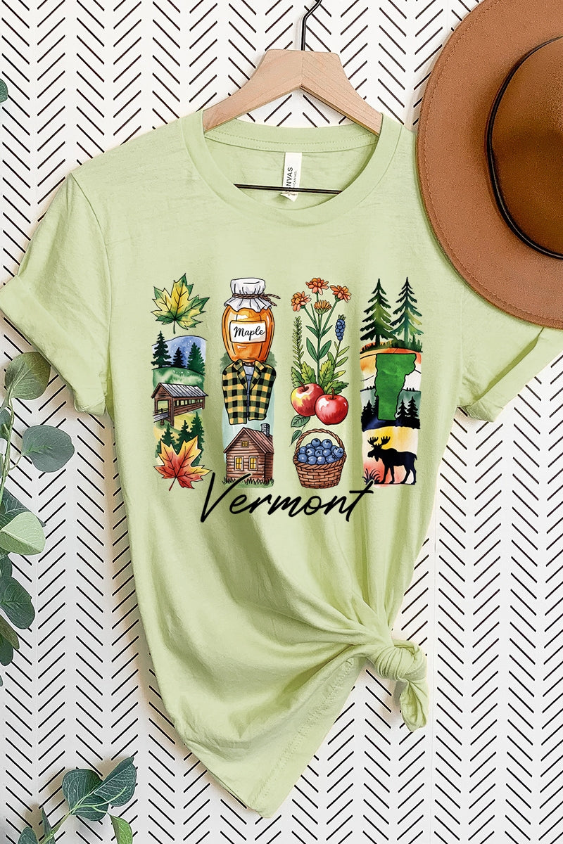 US3001P-E3061VT Vermont State Brushstroke Graphic Plus Tee $16