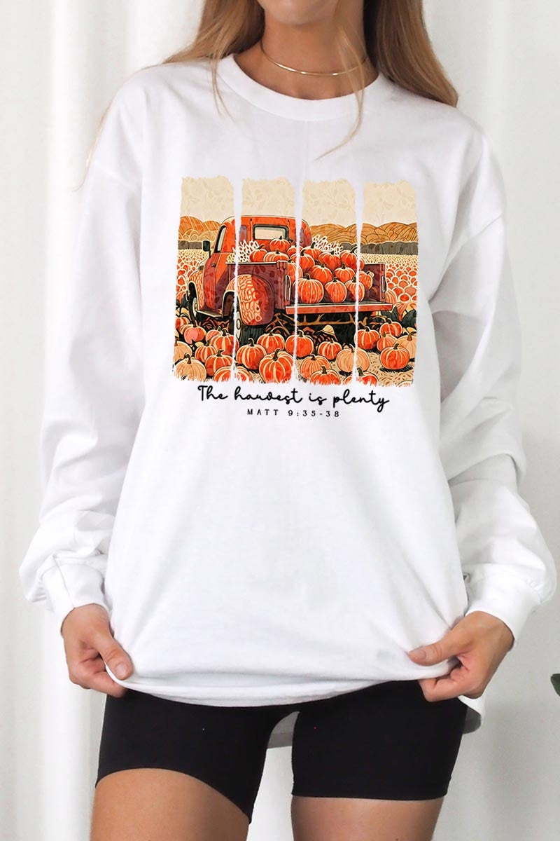 UL240-E3172 Harvest Is Plenty Graphic Long Sleeve Tee $13.75