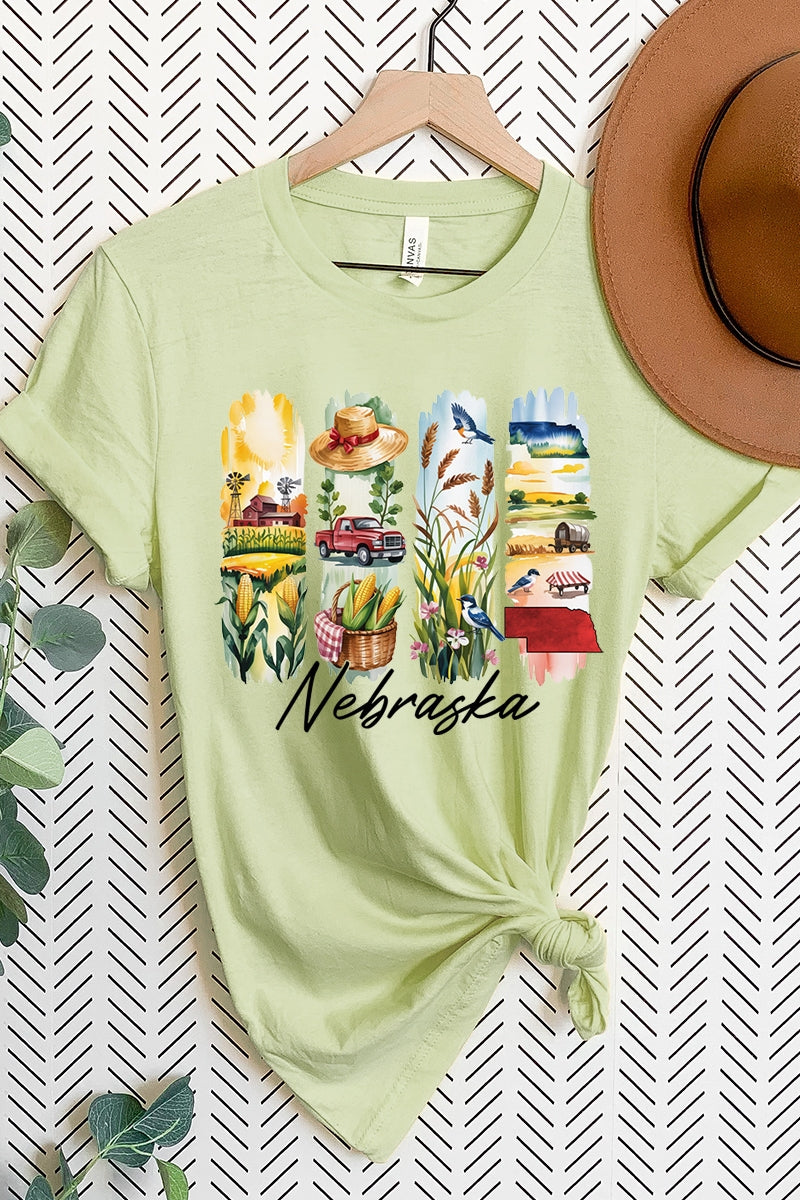 US3001P-E3061NE Nebraska State Brushstroke Graphic Plus Tee $16