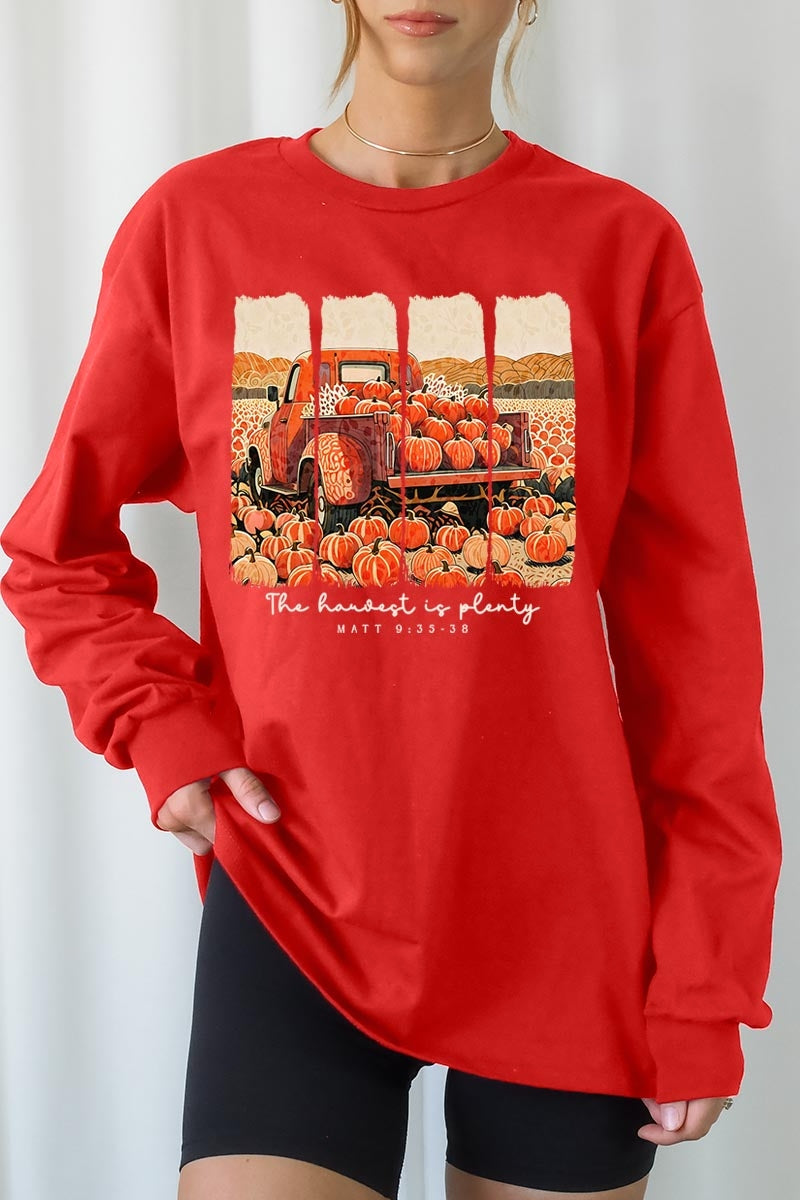 UL240P-E3172 Harvest Is Plenty Graphic Plus Long Sleeve Tee $17