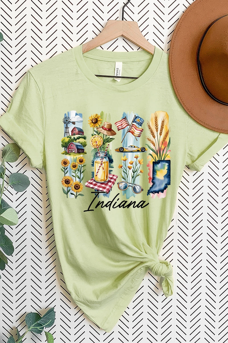 US3001P-E3061IN Indiana State Brushstroke Graphic Plus Tee $16