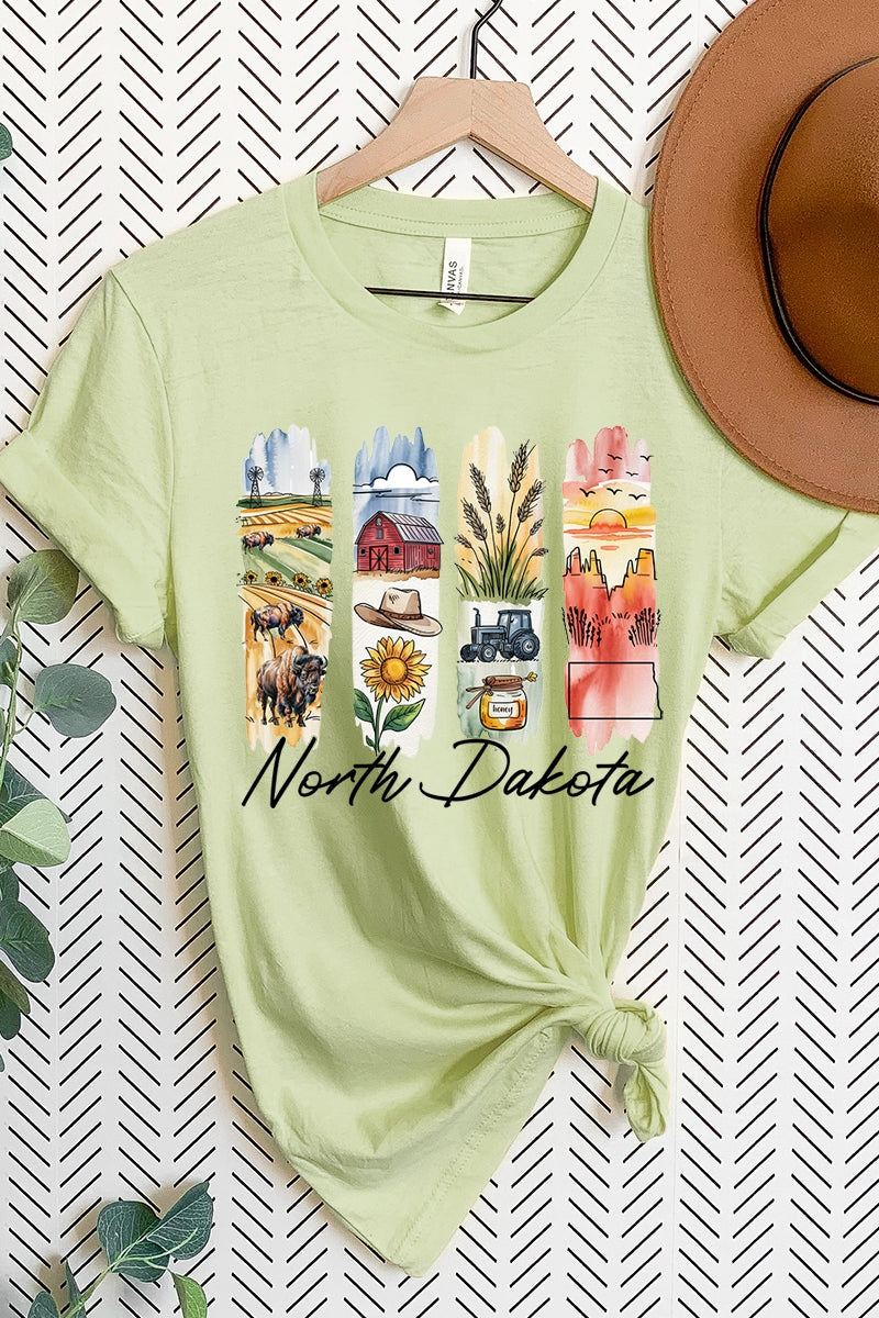 US3001-E3061ND North Dakota State Brushstroke Graphic Tee $12.5