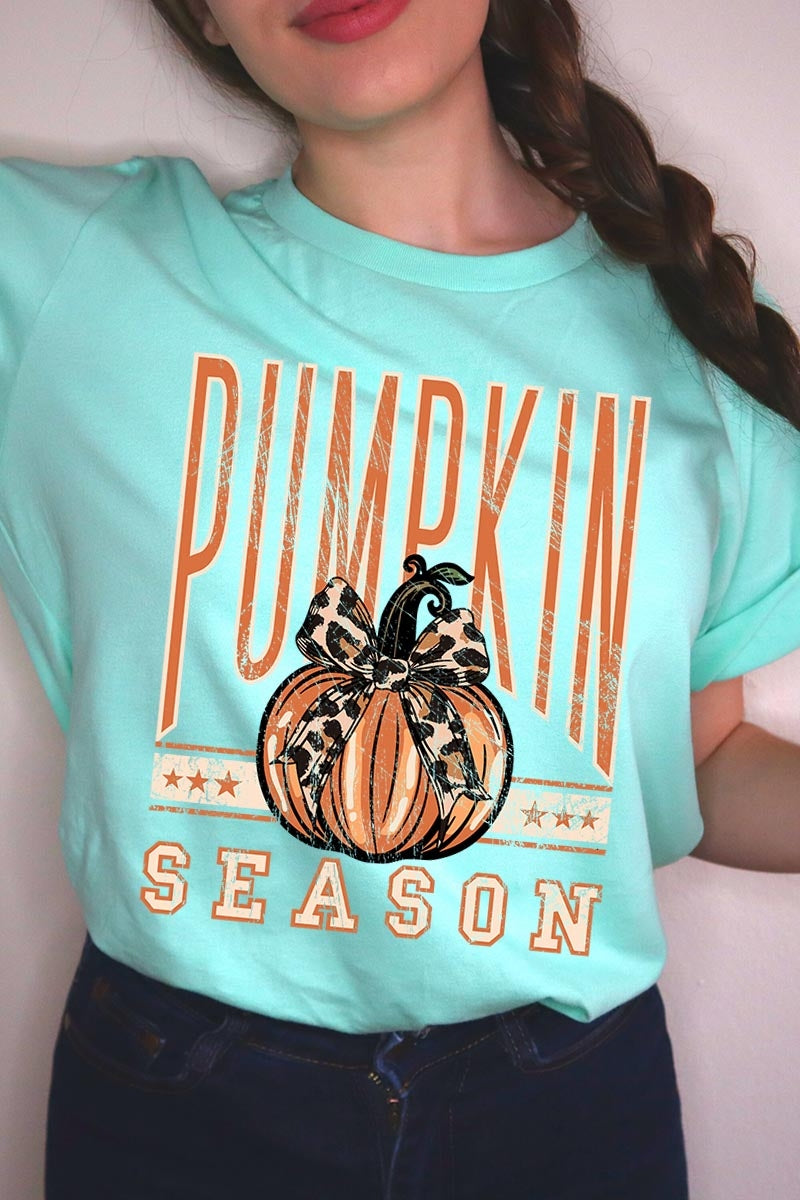 US3001P-E3145 Pumpkin Season Graphic Plus Tee $16