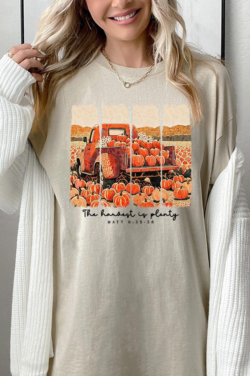 5000P-E3172 Harvest Is Plenty Graphic Plus Heavy Cotton Tee $12.75