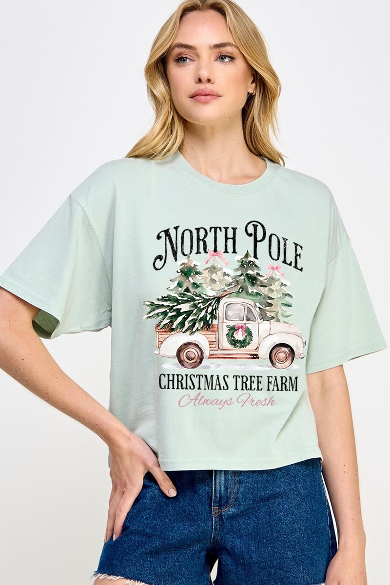 CTS-E3174 North Pole Christmas Graphic Relaxed Crop Top $11