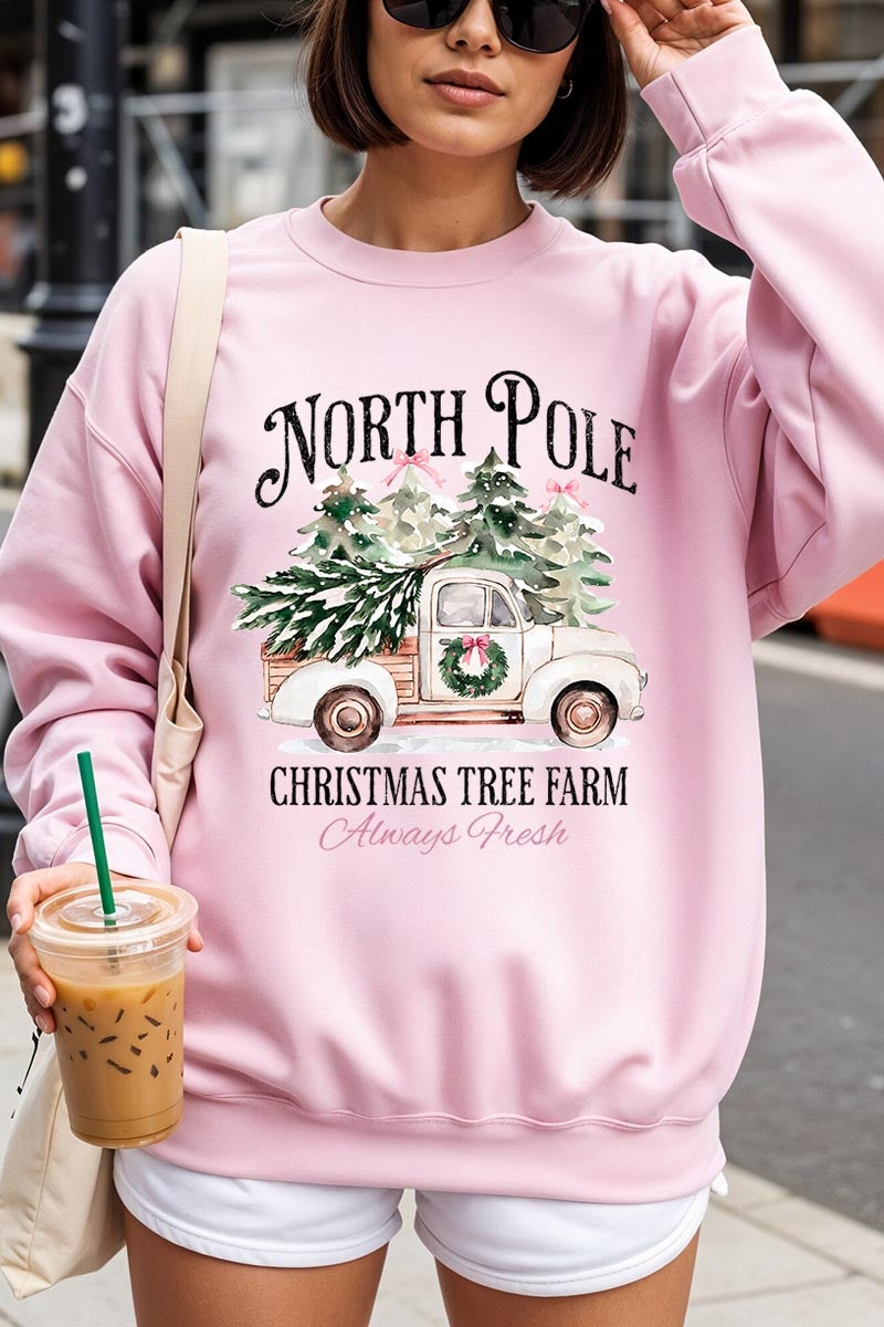 UL180-E3174 North Pole Christmas Graphic Sweatshirt $20