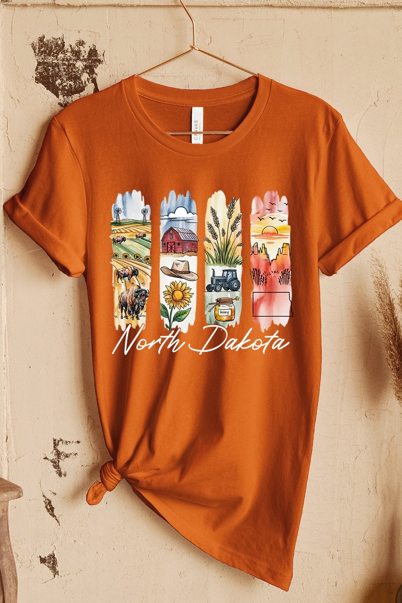 US3001P-E3061ND North Dakota State Brushstroke Graphic Plus Tee $16