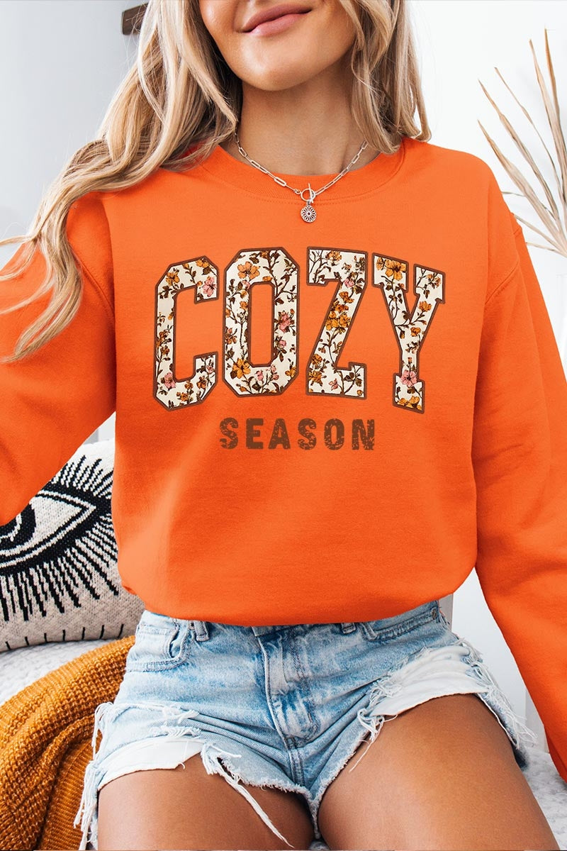 UL180-E3082 Cozy Season Graphic Sweatshirt $20