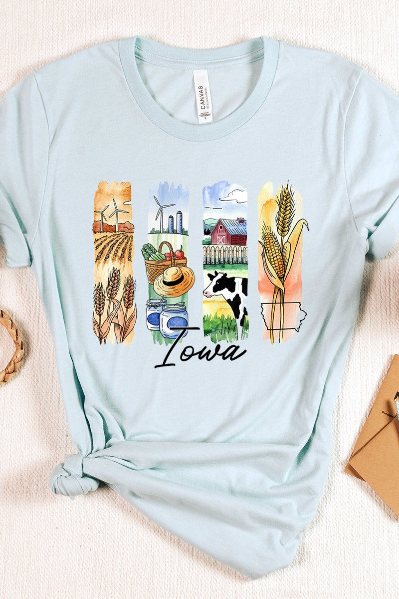 US3001P-E3061IA Iowa State Brushstroke Graphic Plus Tee $16