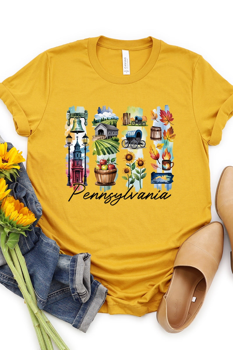 US3001P-E3061PA Pennsylvania State Brushstroke Graphic Plus Tee $16