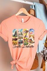 US3001-E3061SD South Dakota State Brushstroke Graphic Tee $12.5