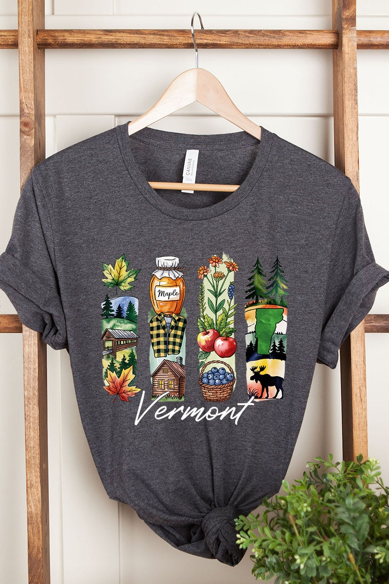 US3001P-E3061VT Vermont State Brushstroke Graphic Plus Tee $16