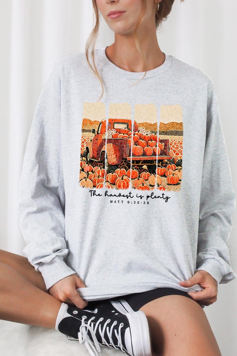 UL240P-E3172 Harvest Is Plenty Graphic Plus Long Sleeve Tee $17