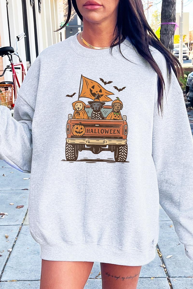 UL180-E3150 Halloween Truck Dogs Graphic Sweatshirt $20