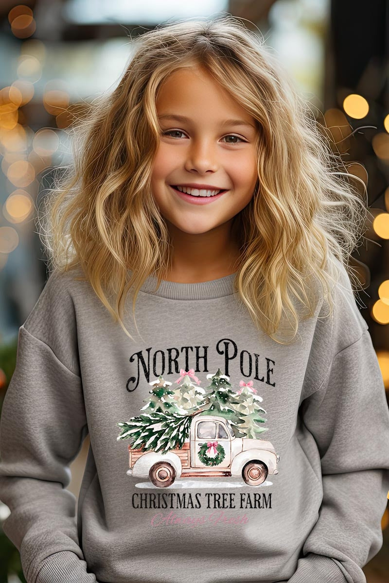 UL180B-E3174Z North Pole Christmas Kids Graphic Sweatshirt $20