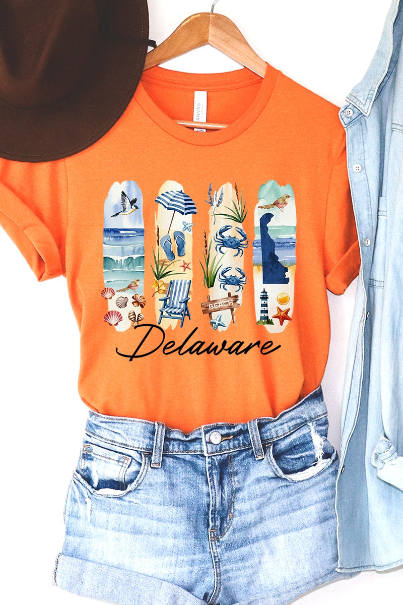 US3001-E3061DE Delaware State Brushstroke Graphic Tee $12.5