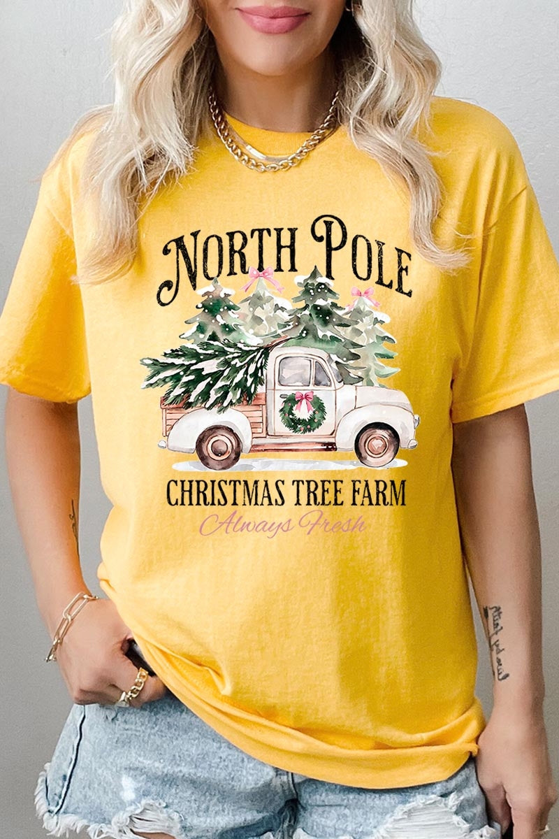 5000-E3174 North Pole Christmas Graphic Heavy Cotton Tee $9