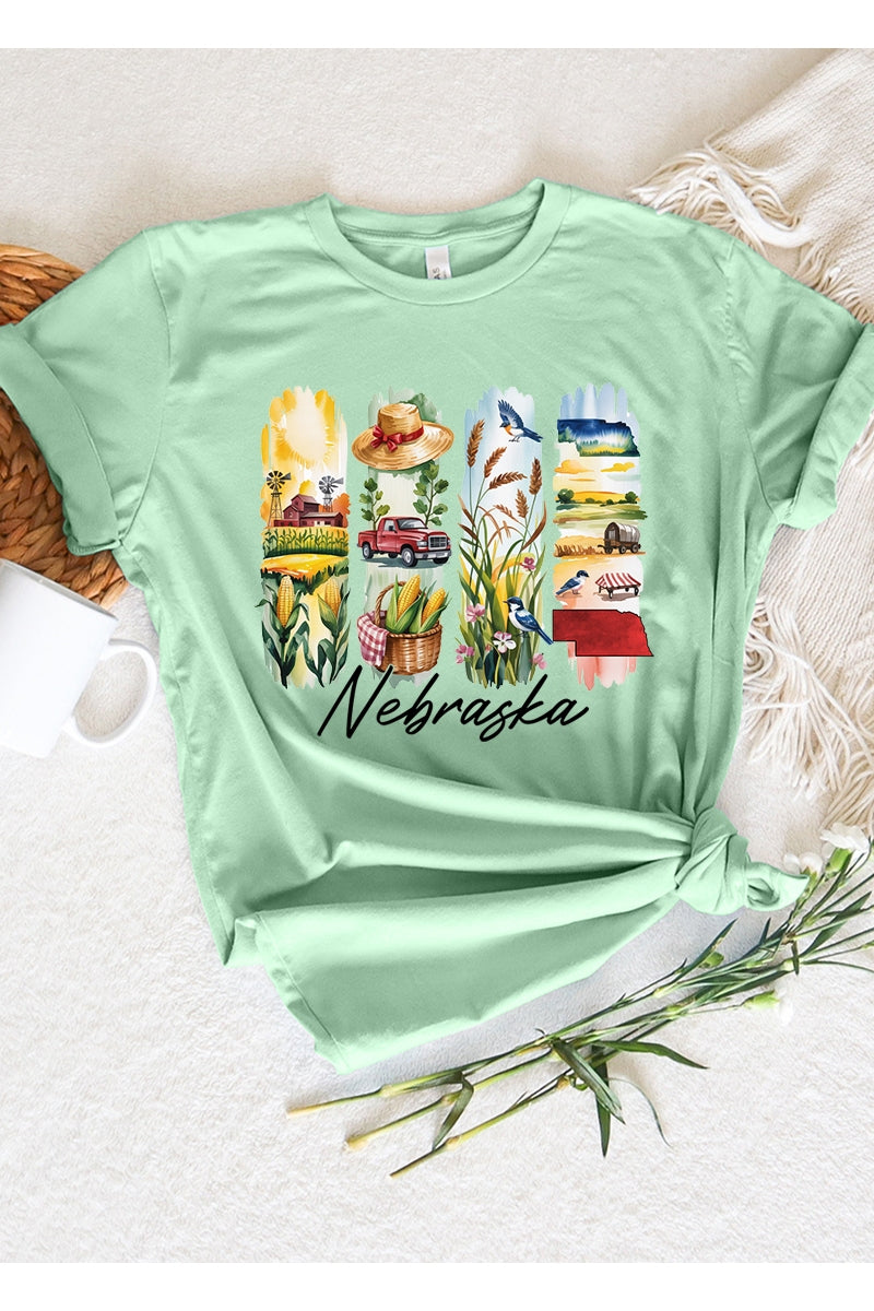 US3001P-E3061NE Nebraska State Brushstroke Graphic Plus Tee $16
