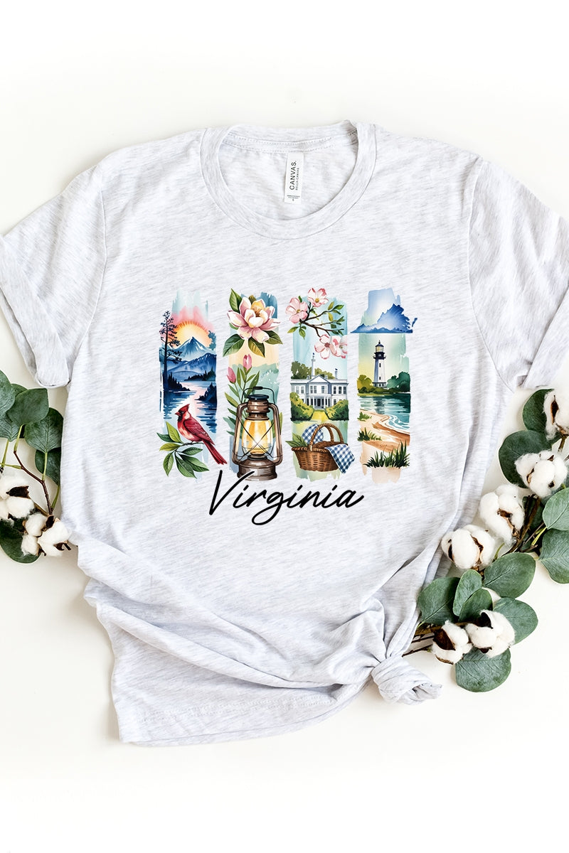 US3001P-E3061VA Virginia State Brushstroke Graphic Plus Tee $16